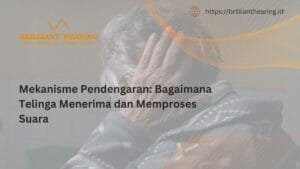 Mekanisme Pendengaran: Bagaimana Telinga Menerima dan Memproses Suara