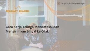 Cara Kerja Telinga Mendeteksi dan Mengirimkan Sinyal ke Otak