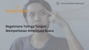 Bagaimana Telinga Tengah Memperbesar Amplitudo Suara