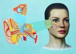 Asuhan Keperawatan Pada Pasien Dengan Ganguuan Sistem Pendengaran 1 Pusat Alat Bantu Dengar Indonesia - Brilliant Hearing Pendengaran dan Keseimbangan: Keterkaitan Sistem Pendengaran dengan Sistem Vestibuler