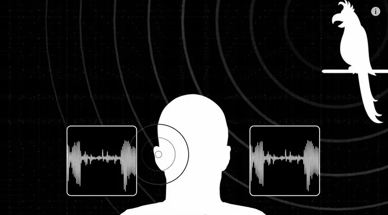sistem rekam binaural hasilkan audio 3d v4C1zhic1F Pusat Alat Bantu Dengar Indonesia - Brilliant Hearing Mengenal Pendengaran Binaural: Manfaat dan Aplikasinya dalam Kehidupan Sehari-hari