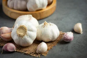 apakah bawang putih bisa mengobati infeksi telinga